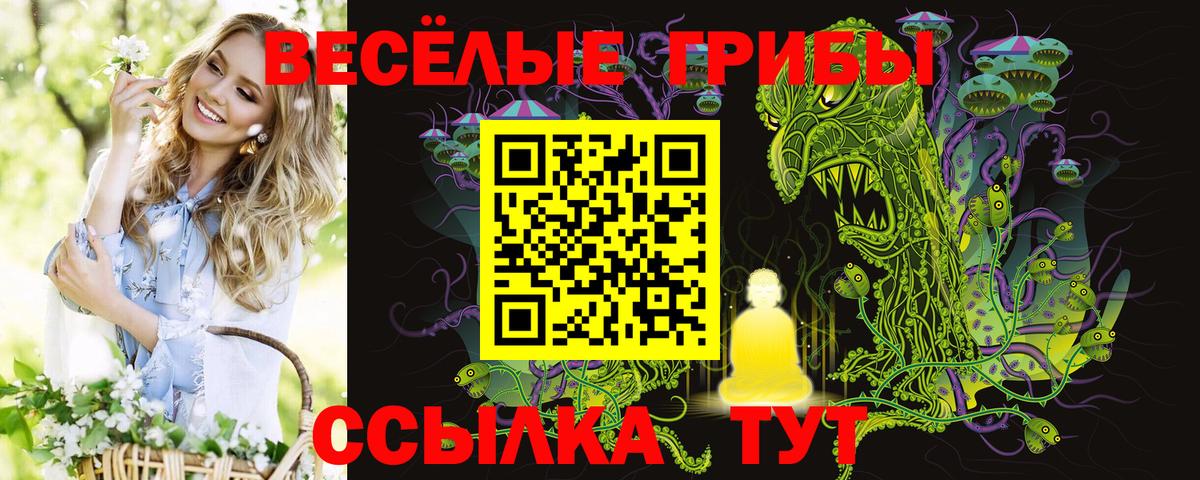Псилоцибиновые грибы GOLDEN TEACHER  Вход с VPN  Дубна  Псилоцибиновые грибы GOLDEN TEACHER 